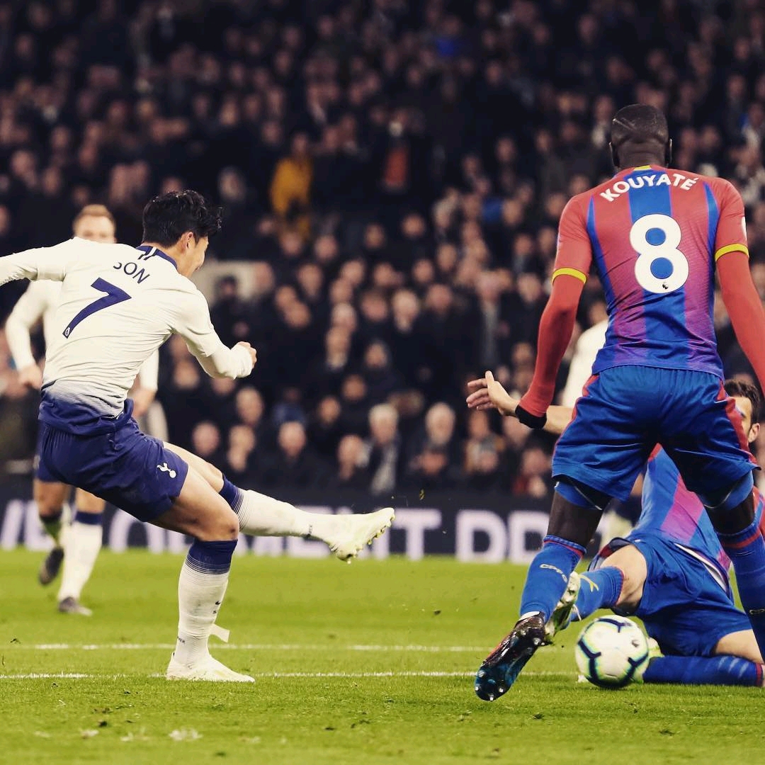 爽或许知道 爽或许知道